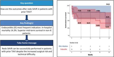 DOI: 10.1093/ejcts/ezac375