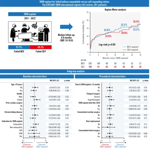 DOI: 10.4244/EIJ-D-23-00722