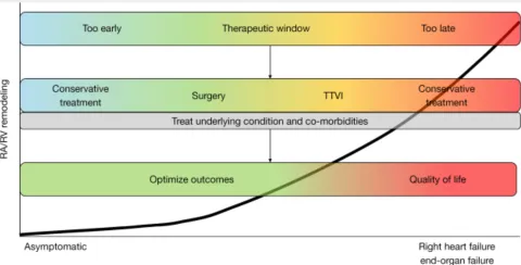 Therapeutic window and treatment strategies in tricuspid regurgitation. 